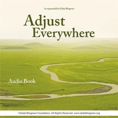 Adjust Everywhere